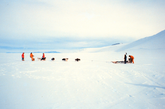 A little dog sled training was given during survival training