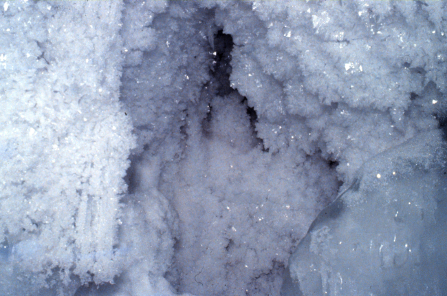 Ice crystals growing in a small crevasse