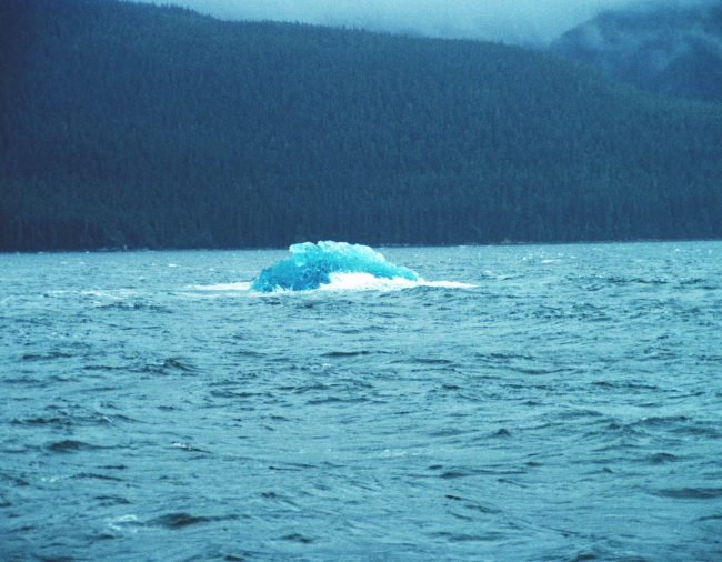 Blue ice from Tracy Arm - about the size of a house