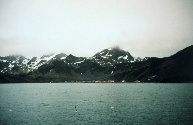 Looking towards Grytviken