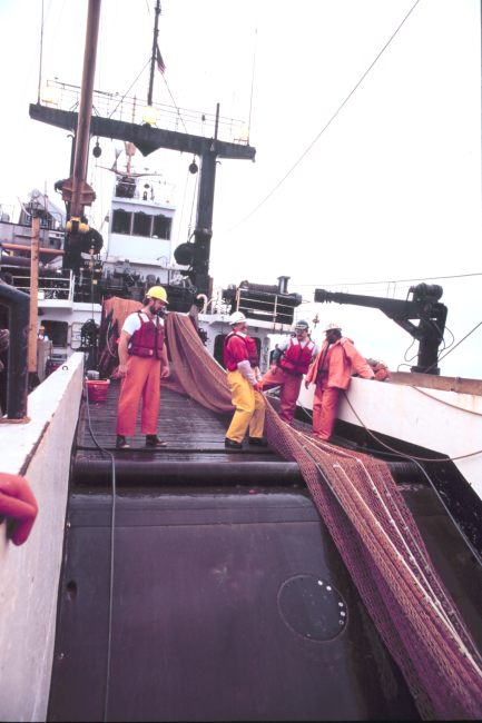 Trawling operations on the MILLER FREEMAN