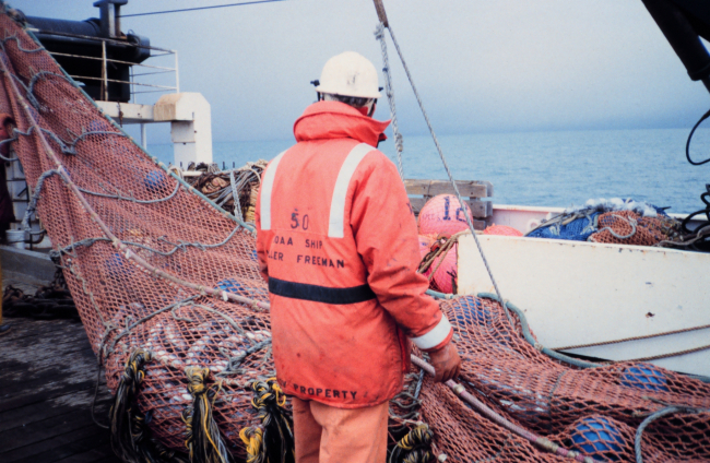 Hauling in the net after trawling operations