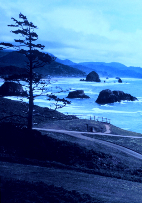Looking south at Ecola State Park, about 5 miles south of Seaside