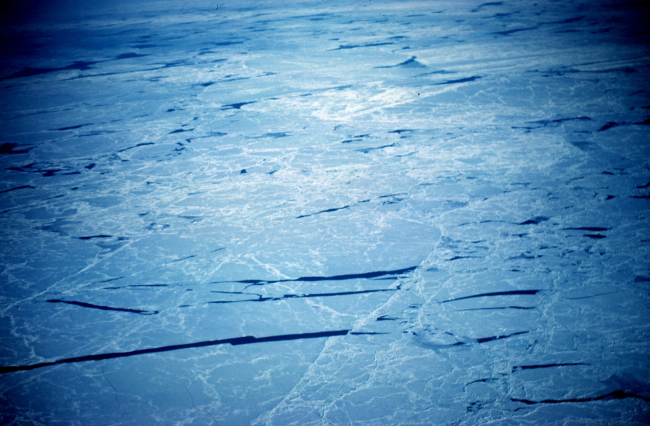 Cracks in sea ice as seen from the air