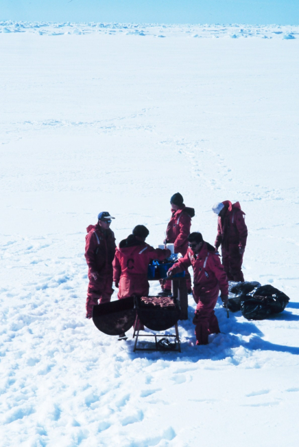 Antarctic beach party and barbecue