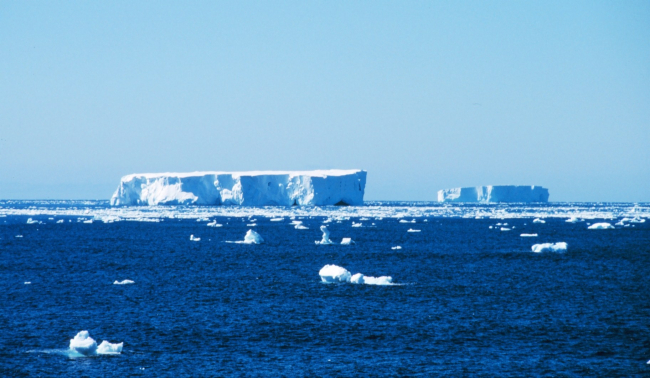 Large tabular ice bergs