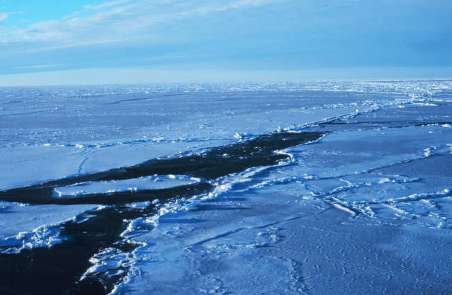 Open water wake in the sea ice