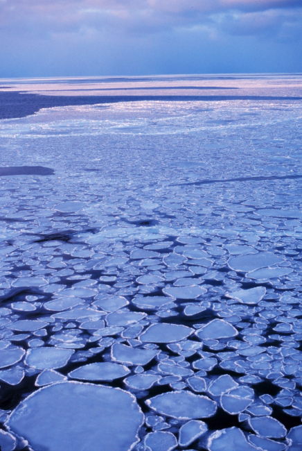 Pancake ice adrift on the Ross Sea