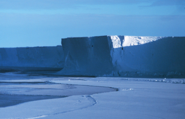 The Ross Ice Shelf at the Bay of Whales