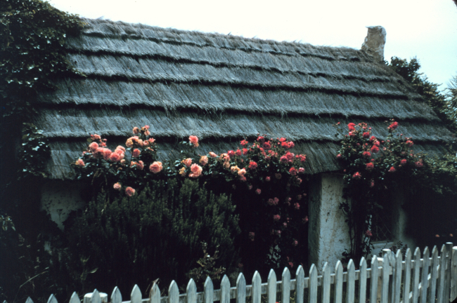 A thatched roof house in Christchurch