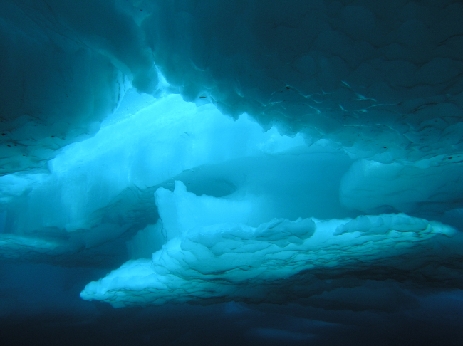 A divers view of the underside of the ice