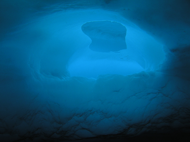 A divers view of the underside of the ice