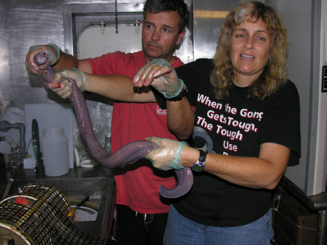 Scientists Justin Marshall and Tammy Frank holding one of thedisgusting hagfish captured in Dr