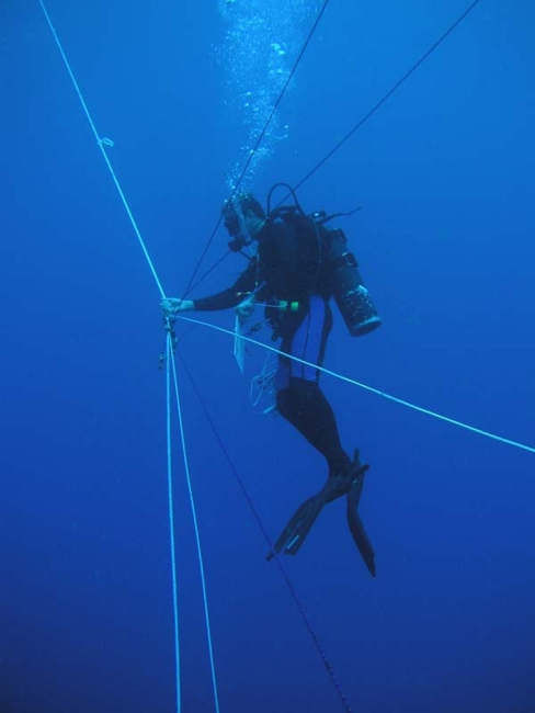 Marine scientist spiderman Misha Matz coordinates a blue water dive for 4companions - each at the end of a rope tether and each rope kept taut by aweight and pulley system that is attached to a toilet flange