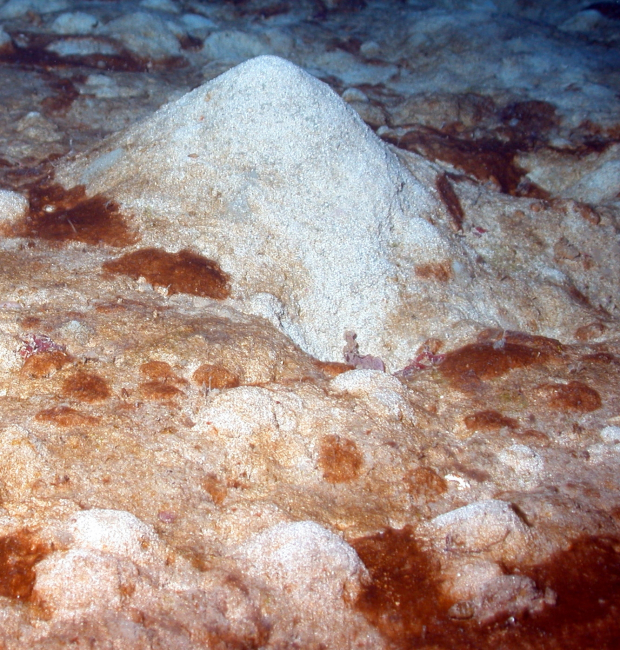 A sea mound