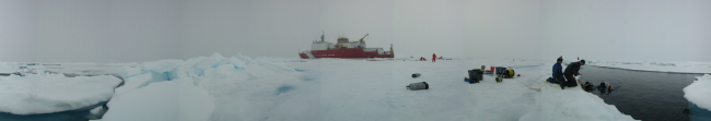 Panoramic view of the USCGC Healy supporting science and dive operations in theArctic