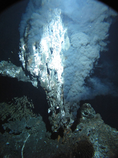 A black smoker chimney named 'Boardwalk' emitting hydrothermalfluids at 644 F (340 C) in the northeastern Pacific Ocean at a depth of7,260 feet