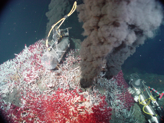 Hydrothermal vent study area with black smoker and bright red-tipped tube worms