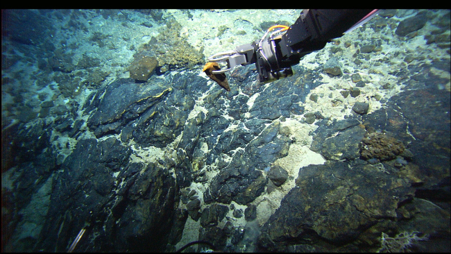 The manipulator arm of the Hercules ROV sampling rocks in the vicinity of theAtlantis Fracture Zone