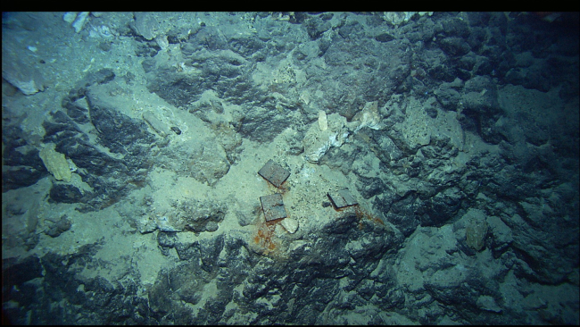 Iron plates on the seafloor in hte vicinity of the Lost City vent field