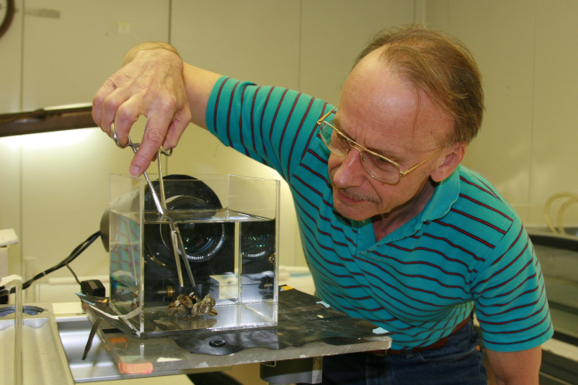 Researcher Henry Vanderploeg, of NOAA's Great Lakes EnvironmentalLaboratory, analyzes invasive non-native mussels