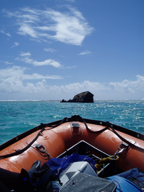 Exploring a derelict wrecked on the reef