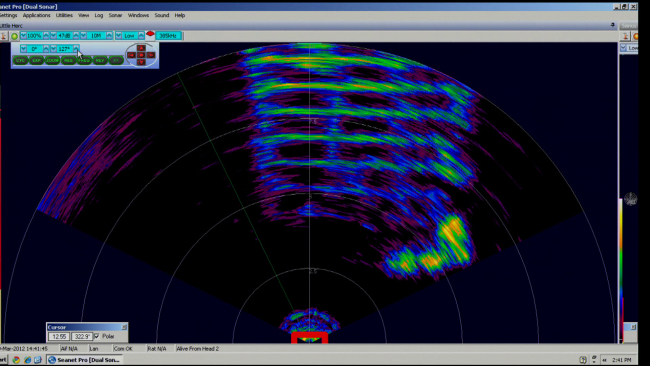 Forward scanning sonar on Little Hercules ROV picking up portion of shipwreck