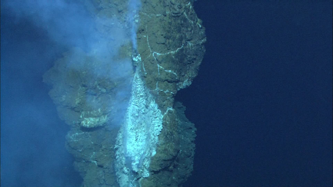 A hot vent (255 degrees C) near the top of a 38-meter-high sulfide chimney inthe Loloa Kakai vent field on the Fonualei rift, sampled during dive Q233