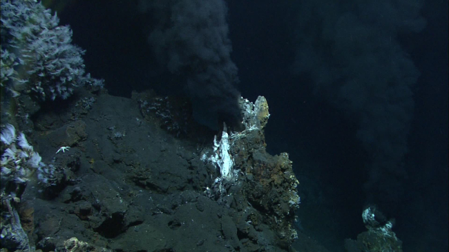 Two black smoker chimneys belch hot vent fluid up into the water column,helping to form the plume that the CTD found above the volcano