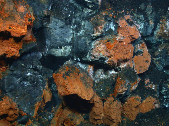 The orangish-brown material is iron oxide encrusted microbial mats,often observed at low-temperature hydrothermal vents