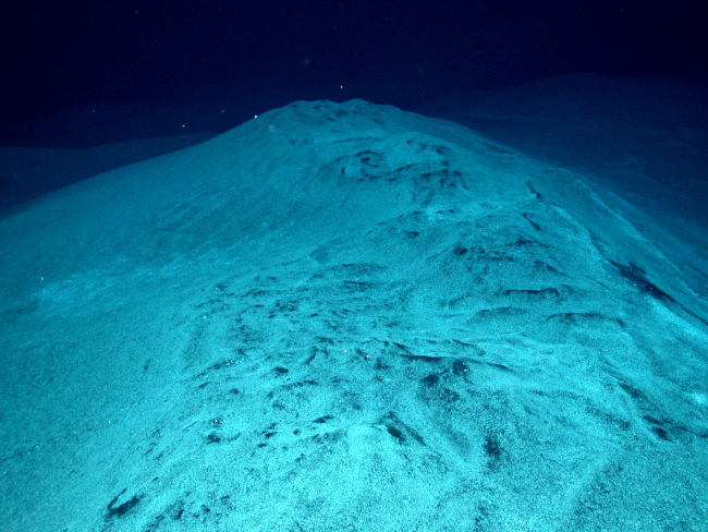 Microbial mats coated in white sulfate material were observed and sampled atseveral vent sites at West Mata in 2009