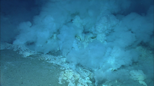 Jets of sulfur shooting out from holes in the sediment-covered seafloor at NiuaNorth
