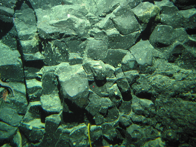 Basalt rock on a Gulf of Alaska seamount