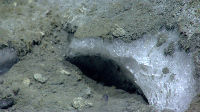 Closeup of methane hydrate observed at a depth of 1,055 meters, near wherebubble plumes were detected in previously acquired sonar data