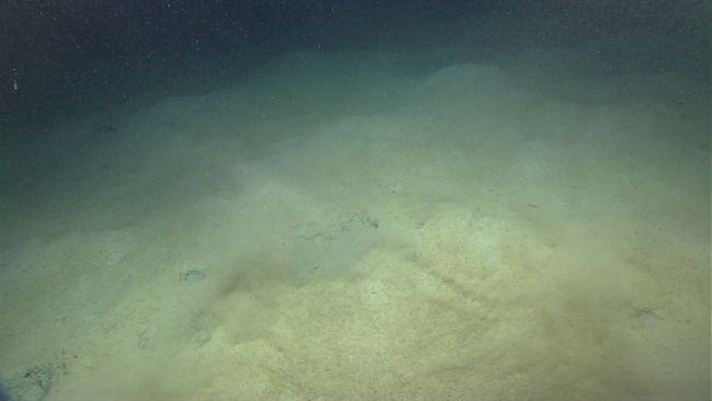 Murky sediment laden water - possibly from Deep Discoverer disturbing bottom