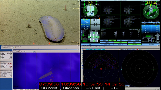Various displays monitored by the ROV pilots and science party