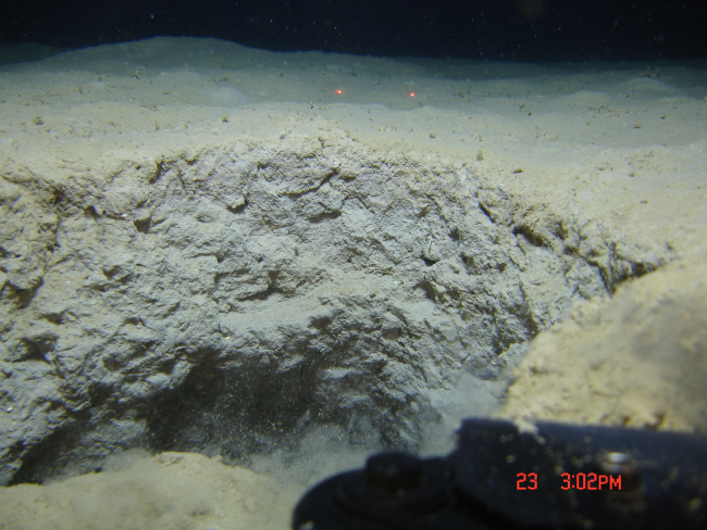 Large burrow in a sediment bottom