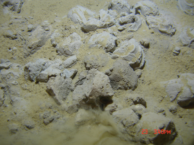 Clumpy mudstone lying on the bottom