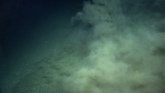 Perhaps a small sediment flow but probably caused by the thrusters on the ROV