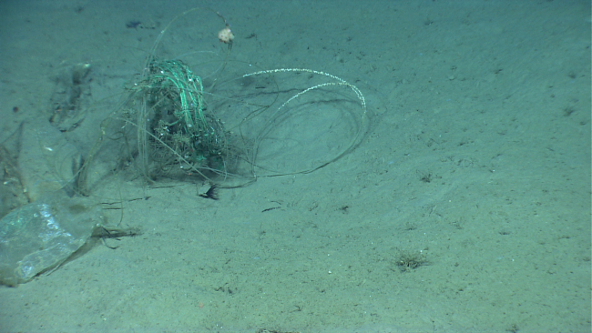 Plastic bag and wire on the seafloor