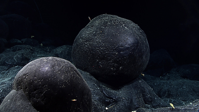 Two large spherical pillow lavas