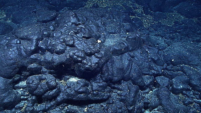 Manganese crust gives a shiny appearance to these pillow lavas