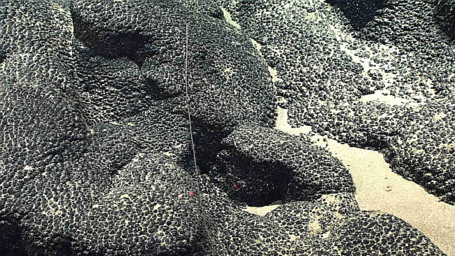 Pillow lavas covered with botryoidal manganese crust