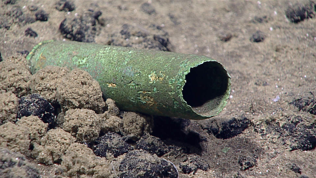 A shell casing - probably a remnant of World War II