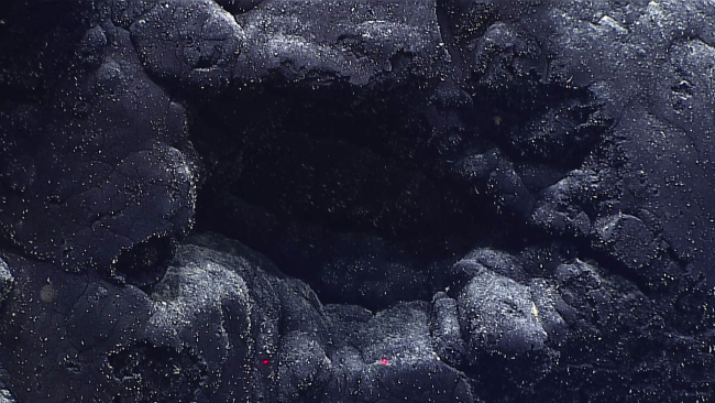 Perhaps a hornito observed at the end of the dive on Enigma Seamount
