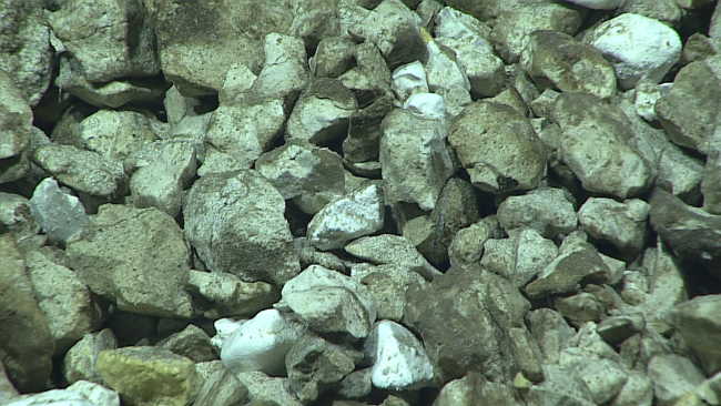 A closeup of the angular blocky carbonate rock material making up thetongues of talus at 5800 meters depth