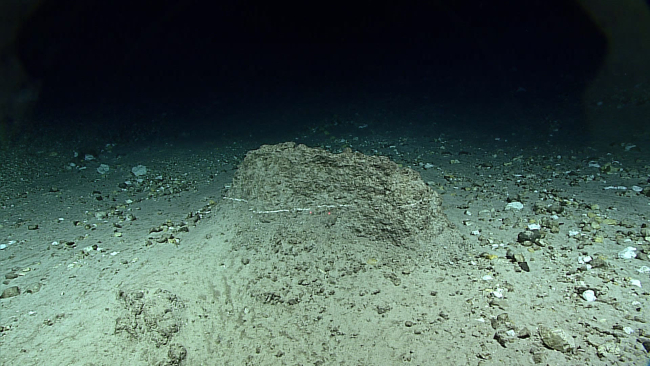 An outcrop rising from the flat - how big is it actually? what is the whitematerial? is this a remnant of a once continuous bed? a boulder that has beencovered with clastic material making it look like a mini-mesa?  What is thewhite layer? 5900 meters depth on the flank of the Mariana Trench