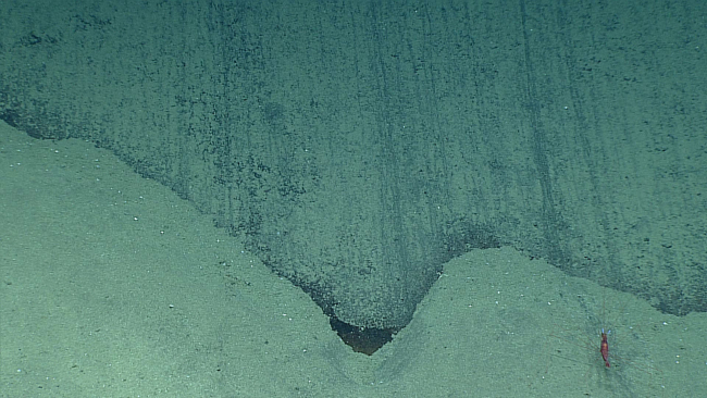 A hard striated rock surface at 2318 meters with sediment ponded downslope