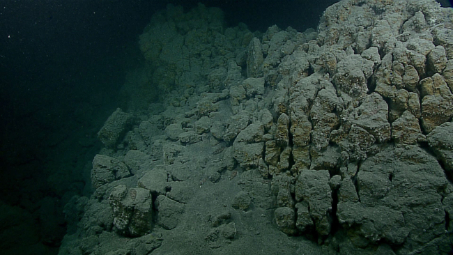 Volcanic ash covered blocks with numerous visible anemones