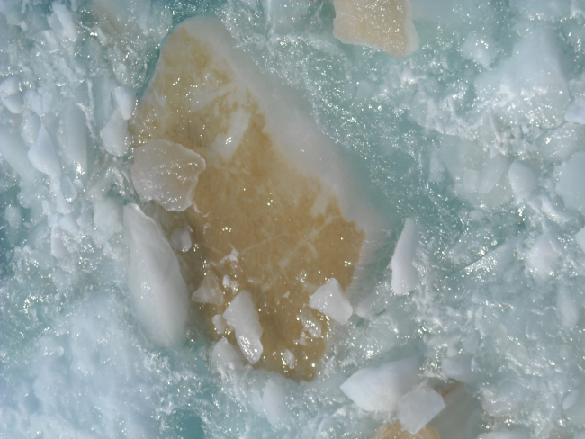 Microscopically small algae grow on the bottom of a piece of overturned Arcticsea ice